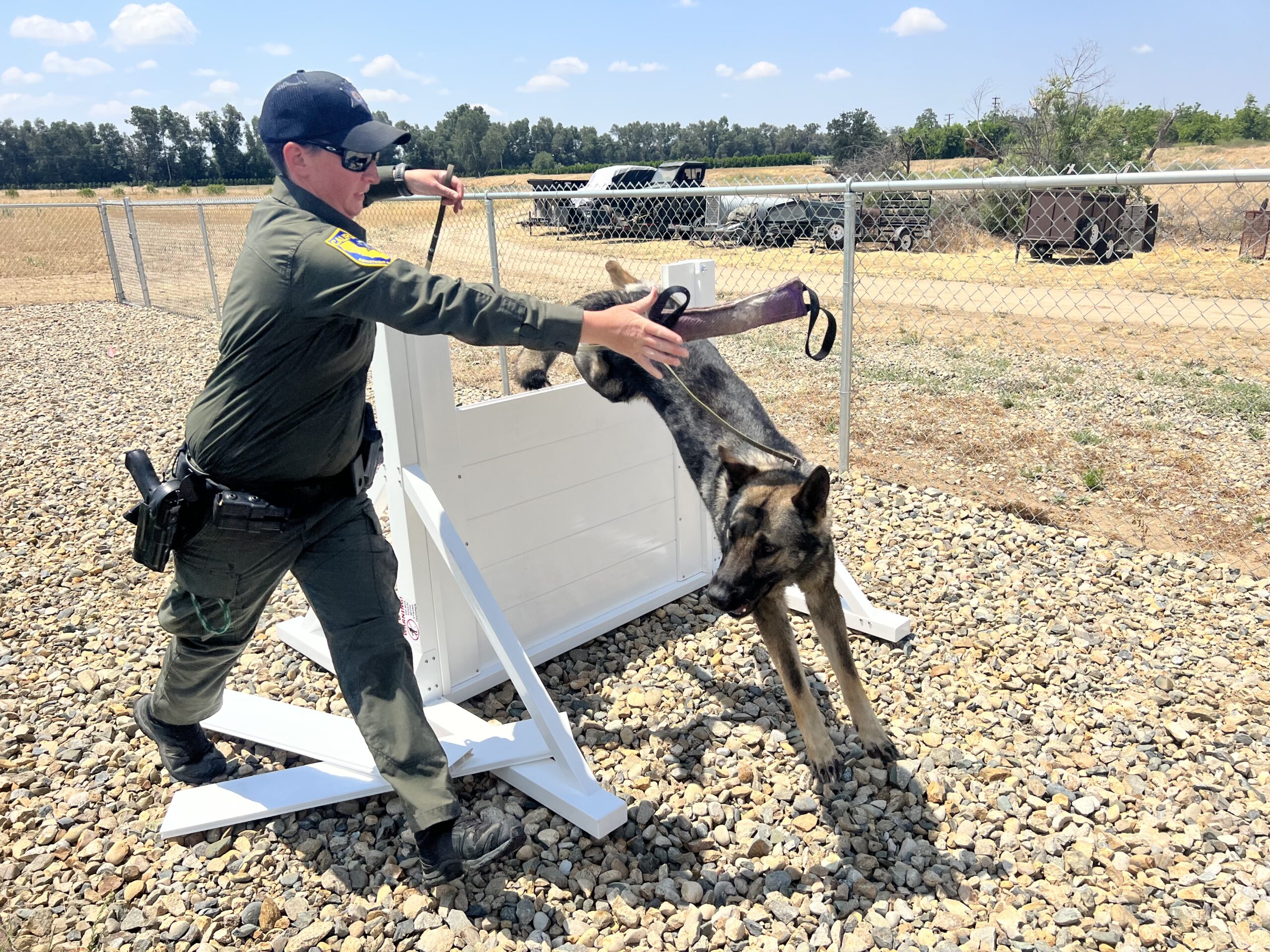 Overcoming Obstacles….In the K9 way
